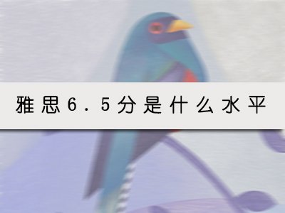 扫一扫添加助教老师
